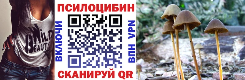 Псилоцибиновые грибы MAGIC MUSHROOMS  Куйбышев 